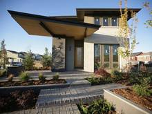 современная входная группа с консольным козырьком